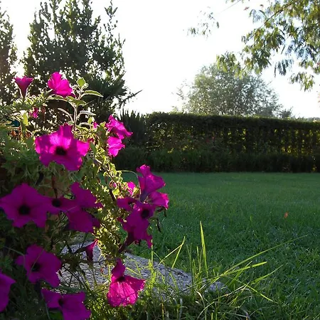 Casa Ferretti Di Ferretti Village מלון סילבי מרינה