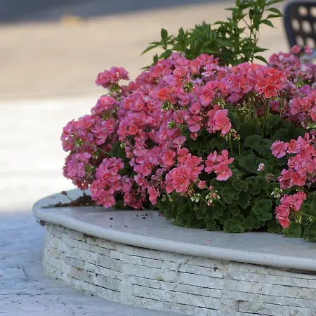 Great Location Near The Colosseum In Central Rome Hotel Silvi Marina