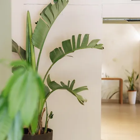 Great Location Near The Colosseum In Central Rome Hotel