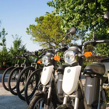 Great Location Near The Colosseum In Central Rome 3*