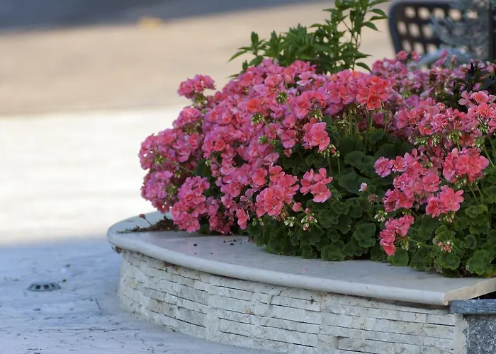 Casa Ferretti Di Ferretti Village Hotel Silvi Marina