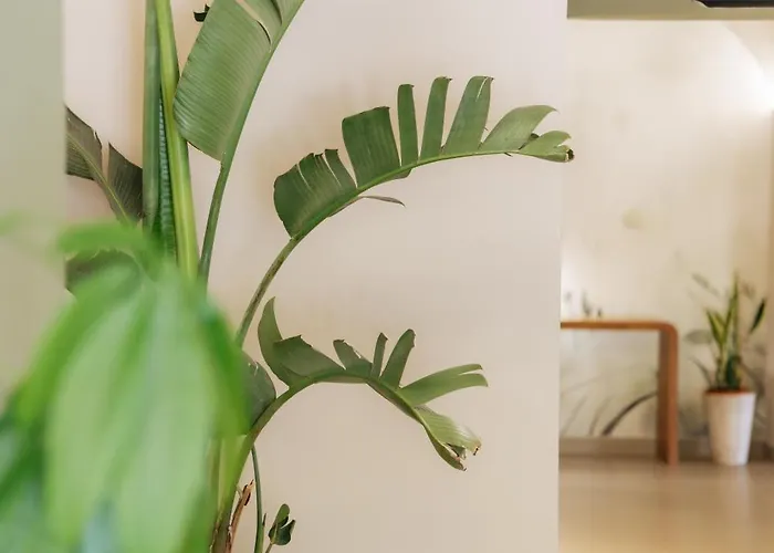 Great Location Near The Colosseum In Rome 호텔